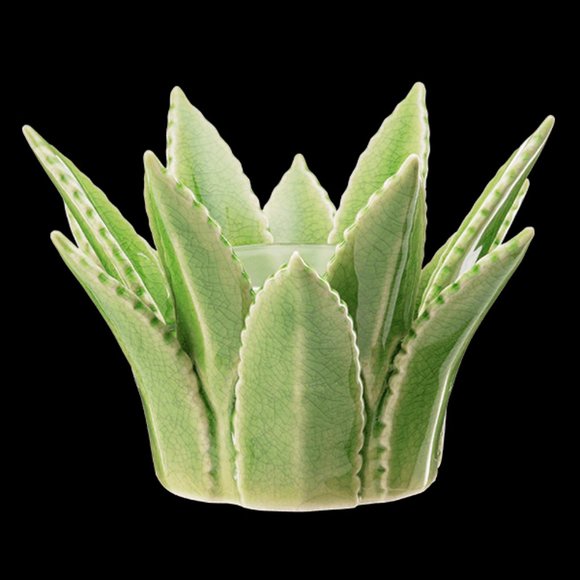 Scentsy | Other | Aloe Vera Scentsy Warmer Nib | Poshmark